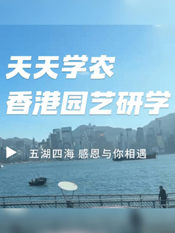 与香港园艺学会联合举办香港园艺研学，专业园境师带队讲解。